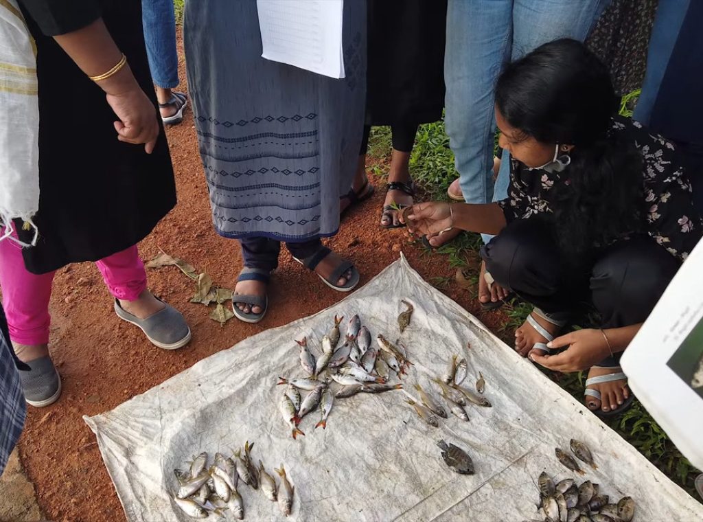 Vembanad Fish Count 2022 _ Participatory Fish Survey by ATREE-CERC 3-25 screenshot